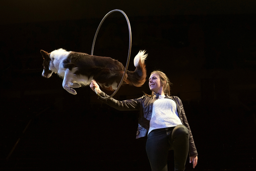 Mutts Gone Nutts trainer with dog